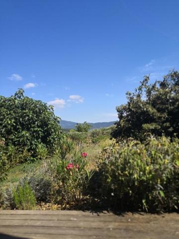 House Mont Ventoux With Holiday home Entrechaux