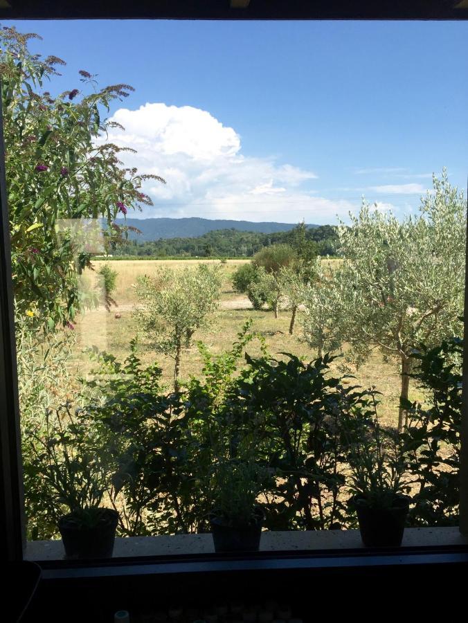 House Mont Ventoux With Holiday home