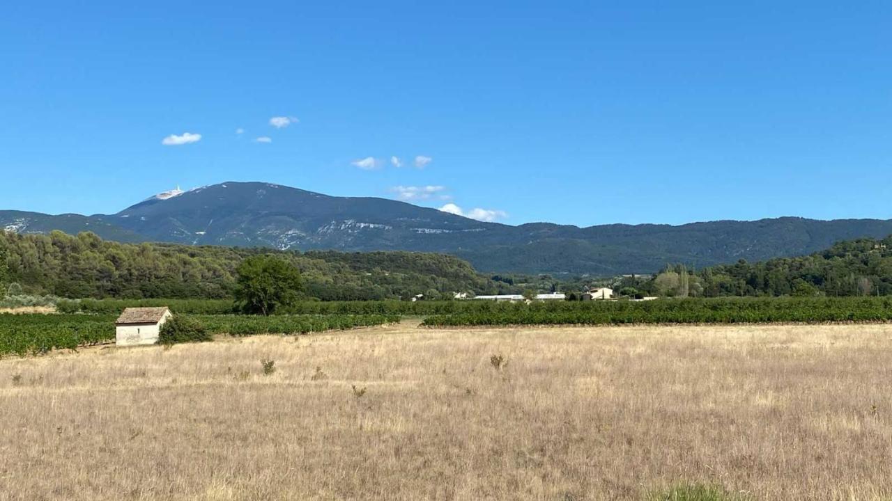 Holiday home House Mont Ventoux With